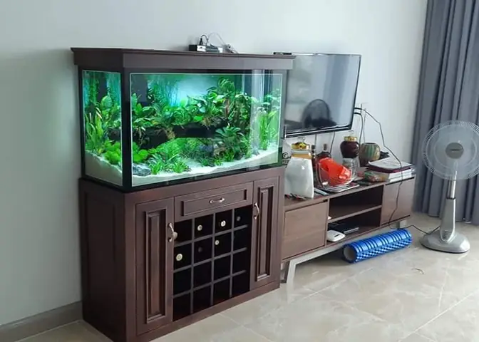 Có Nên Để Hồ Cá Trên Bàn Thờ Ông Địa Không? Hướng Dẫn Đặt Bể Cá Theo Phong Thủy