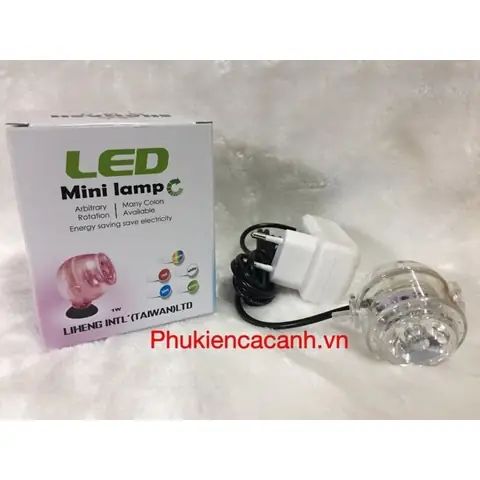 Đèn 7 Màu Cho Hồ Cá: Bí Quyết Tạo Không Gian Lung Linh, Sinh Động
