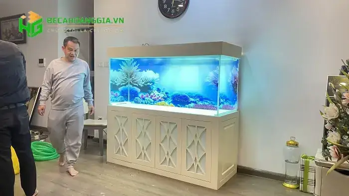 Hướng Dẫn Chọn Và Sử Dụng Đèn Hồ Cá Rồng Kim Long Quá Bối Tốt Nhất Hướng Dẫn Chọn Và Sử Dụng Đèn Hồ Cá Rồng Kim Long Quá Bối Tốt Nhất