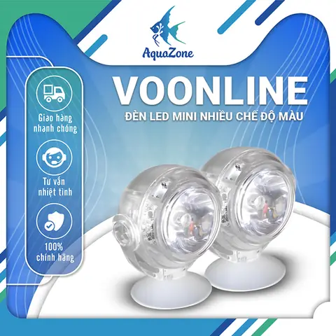 Đèn Bể Cá Mini: Lựa Chọn & Cách Sử Dụng Cho Hồ Thủy Sinh & Trang Trí Đèn Bể Cá Mini: Lựa Chọn & Cách Sử Dụng Cho Hồ Thủy Sinh & Trang Trí