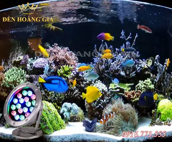 Đèn Hồ Cá Nước Mặn: Cẩm Nang Chọn Lọc Và Thiết Lập Tối Ưu