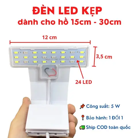 Top 10+ Mẫu Đèn Kẹp Hồ Cá Giá Rẻ, Hỗ Trợ Nuôi Thủy Sinh Đẹp