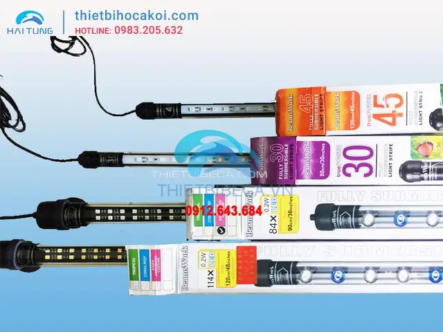 Đèn Led Beamswork Cho Cá Rồng: Kích Màu, Tăng Sắc Vảy & Lưu Ý Sử Dụng