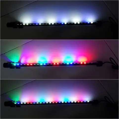 Đèn Led Chìm Bể Cá: Hướng Dẫn Lựa Chọn, Lắp Đặt & Tạo Không Gian Sống Động