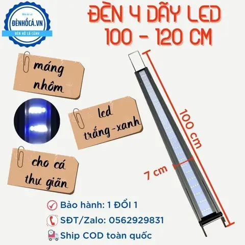 Top 5+ Đèn Led Bể Cá 1m2 Tốt Nhất: Hướng Dẫn Chọn & Lắp Đặt Chuẩn