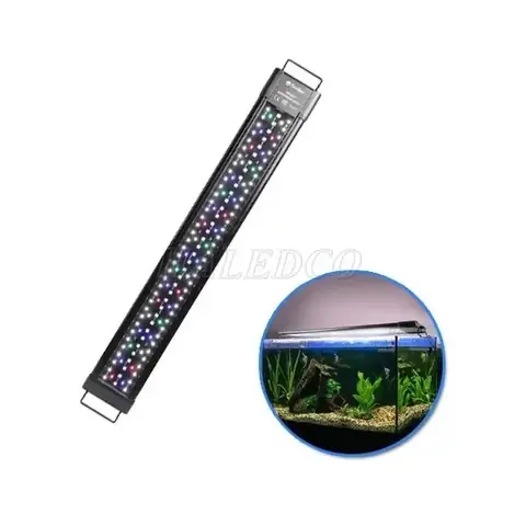 Top 5+ Đèn Led Bể Cá 1m2 Tốt Nhất: Hướng Dẫn Chọn & Lắp Đặt Chuẩn