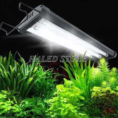 Top 5+ Đèn Led Bể Cá 1m2 Tốt Nhất: Hướng Dẫn Chọn & Lắp Đặt Chuẩn