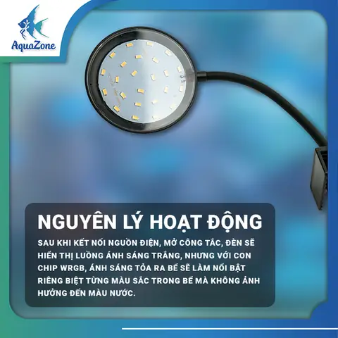 Đèn Led Bể Cá Tròn: Lựa Chọn Tốt Nhất Cho Hồ Thủy Sinh & Cá Cảnh