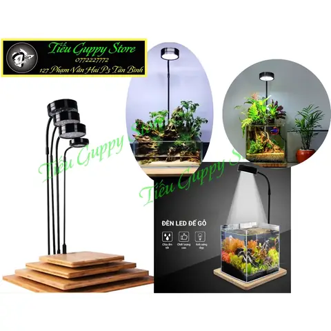 Đèn Led Bể Cá Tròn: Lựa Chọn Tốt Nhất Cho Hồ Thủy Sinh & Cá Cảnh