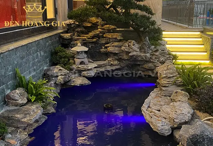 Đèn Led Hồ Cá 1m5: Chọn Loại Nào Tốt, Cách Lắp Đặt & Tiêu Chí Lựa Chọn