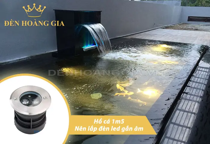 Đèn Led Hồ Cá 1m5: Chọn Loại Nào Tốt, Cách Lắp Đặt & Tiêu Chí Lựa Chọn