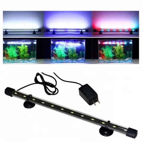 Mua Đèn Led Hồ Cá 60cm: Tư Vấn Chọn Mua & Top Sản Phẩm Phổ Biến