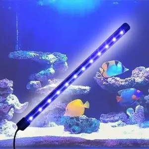 Mua Đèn Led Hồ Cá 60cm: Tư Vấn Chọn Mua & Top Sản Phẩm Phổ Biến