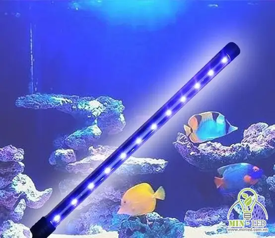 Đèn Led Hồ Cá Ngoài Trời: Hướng Dẫn Chọn & Lắp Đặt Chống Nước, Bền Bỉ