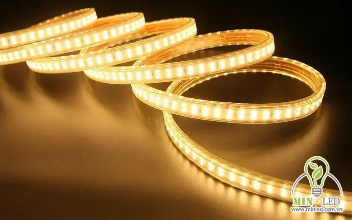 Đèn Led Hồ Cá Ngoài Trời: Hướng Dẫn Chọn & Lắp Đặt Chống Nước, Bền Bỉ