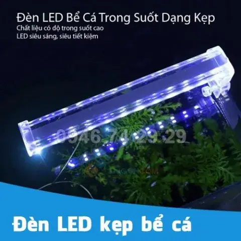 Đèn Led Kẹp Bể Cá: Hướng Dẫn Chọn Mua Và Sử Dụng Hiệu Quả