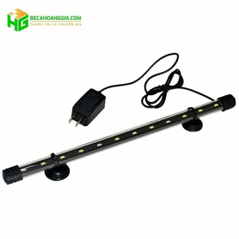 Đèn Led Nuôi Cá: Lựa Chọn Tốt Nhất Cho Hồ Thủy Sinh & Cá Cảnh