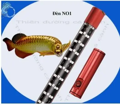 Đèn Led Vàng Hồ Cá: Chọn Lọc, Lắp Đặt & Lợi Ích Cho Cá Cảnh