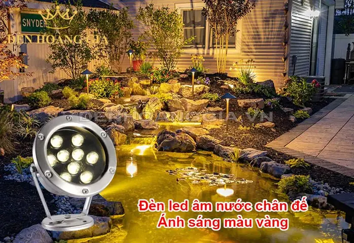 Đèn Led Vàng Hồ Cá: Chọn Lọc, Lắp Đặt & Lợi Ích Cho Cá Cảnh