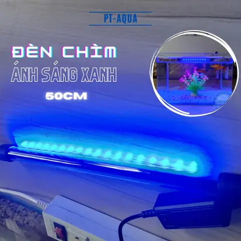 Đèn Led Xanh Bể Cá: Chọn Loại Nào & Công Dụng Tốt Nhất Cho Thủy Sinh