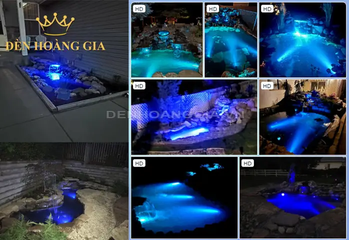 Đèn Led Xanh Bể Cá: Chọn Loại Nào & Công Dụng Tốt Nhất Cho Thủy Sinh