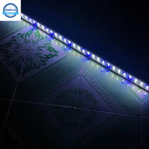 Đèn Led Xanh Bể Cá: Chọn Loại Nào & Công Dụng Tốt Nhất Cho Thủy Sinh