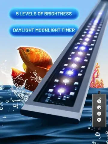 Đèn Magic Led Cho Cá Rồng: Hướng Dẫn Chọn & Lợi Ích Tăng Sắc Màu Tự Nhiên
