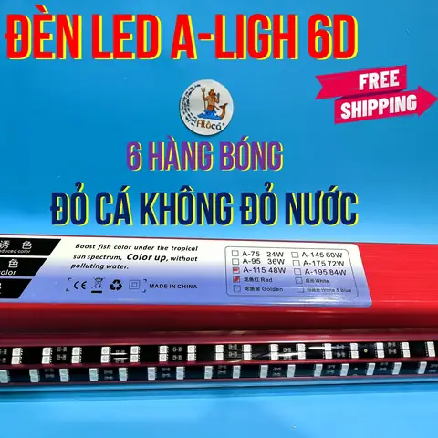 Đèn Magic Led Cho Cá Rồng: Hướng Dẫn Chọn & Lợi Ích Tăng Sắc Màu Tự Nhiên