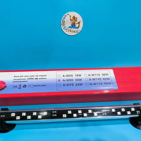 Đèn Magic Led Cho Cá Rồng: Hướng Dẫn Chọn & Lợi Ích Tăng Sắc Màu Tự Nhiên