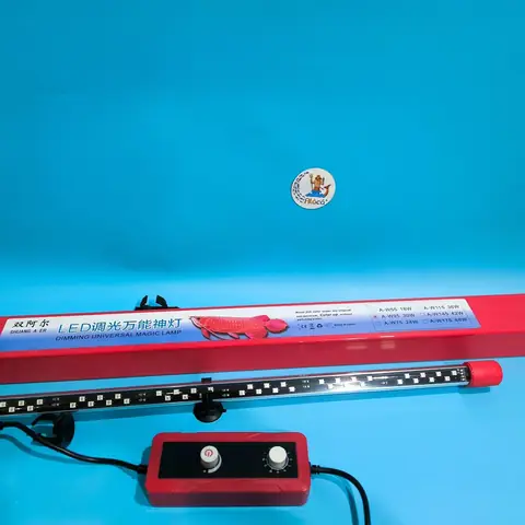 Đèn Magic Led Cho Cá Rồng: Hướng Dẫn Chọn & Lợi Ích Tăng Sắc Màu Tự Nhiên