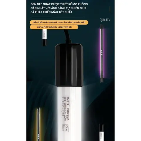 Đèn Nec Tanning Cá Rồng: Hướng Dẫn Chọn Mua Và Sử Dụng Tối Ưu Màu Sắc Vảy Đèn Nec Tanning Cá Rồng: Hướng Dẫn Chọn Mua Và Sử Dụng Tối Ưu Màu Sắc Vảy