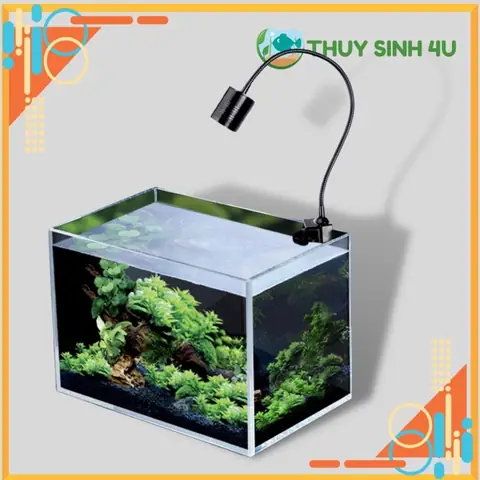 Đèn Rọi Bể Cá: Top Mẫu, Công Dụng & Lưu Ý Chọn Mua Tốt Nhất