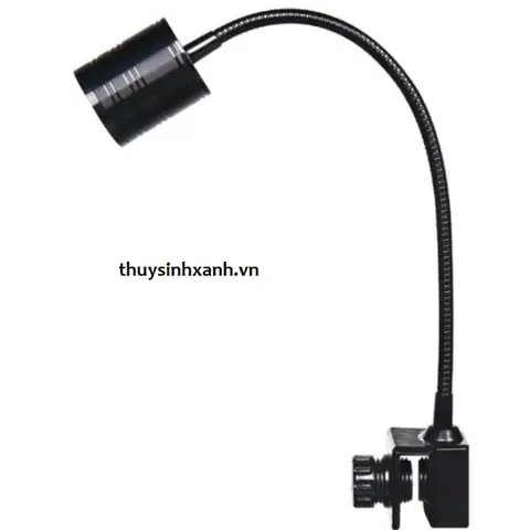 Đèn Hồ Cá: Hướng Dẫn Chọn Mua & Sử Dụng Chi Tiết