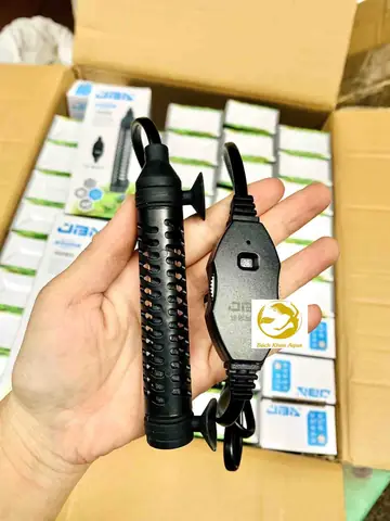 Hướng Dẫn Chọn Và Sử Dụng Đèn Sưởi Bể Cá Mini An Toàn, Hiệu Quả