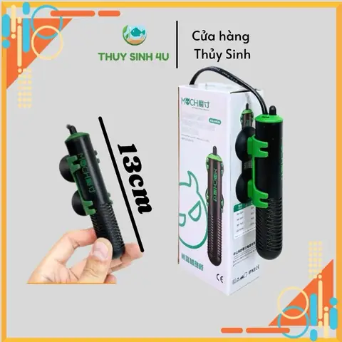 Hướng Dẫn Chọn Và Sử Dụng Đèn Sưởi Bể Cá Mini An Toàn, Hiệu Quả