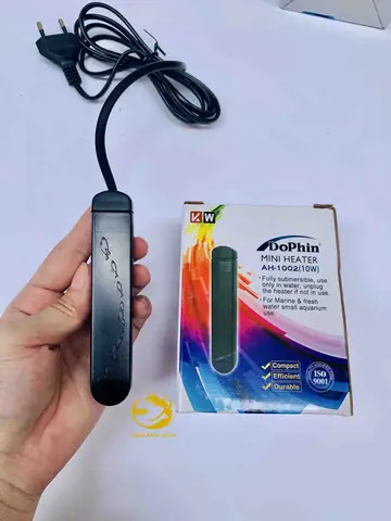 Hướng Dẫn Chọn Và Sử Dụng Đèn Sưởi Bể Cá Mini An Toàn, Hiệu Quả