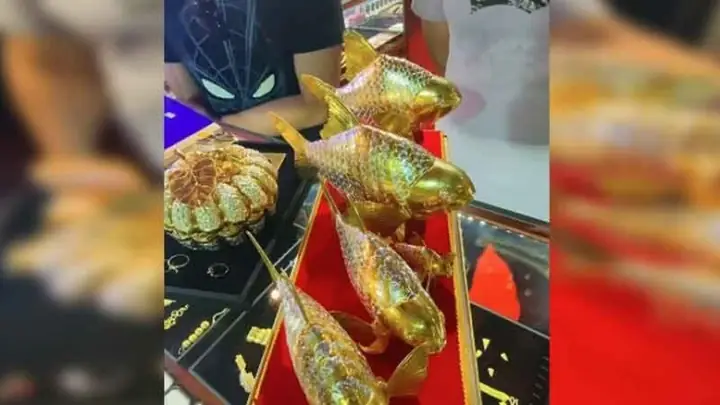 Hướng Dẫn Chi Tiết Cách Chọn Mua Cá Vàng Ưng Ý Và Địa Điểm Uy Tín