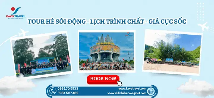 Top 10 Địa Chỉ Mua Cá Vàng Uy Tín Tại Hà Nội: Chọn Lọc Chất Lượng, Giá Tốt