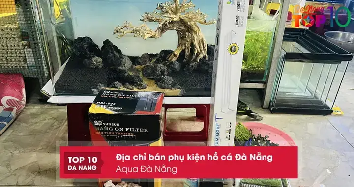 Địa Chỉ Mua Phụ Kiện Hồ Cá Uy Tín: Hướng Dẫn Chọn Lọc & Mua Sắm