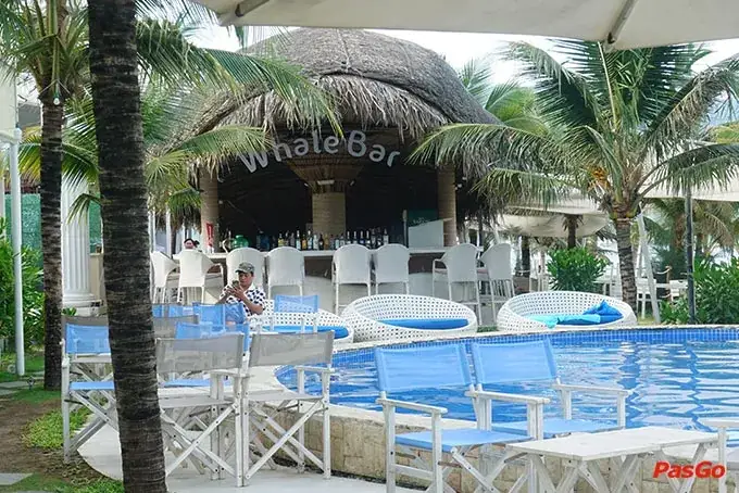 Địa Chỉ Công Viên Cá Voi Đà Nẵng: Khám Phá Whale Park Chính Xác