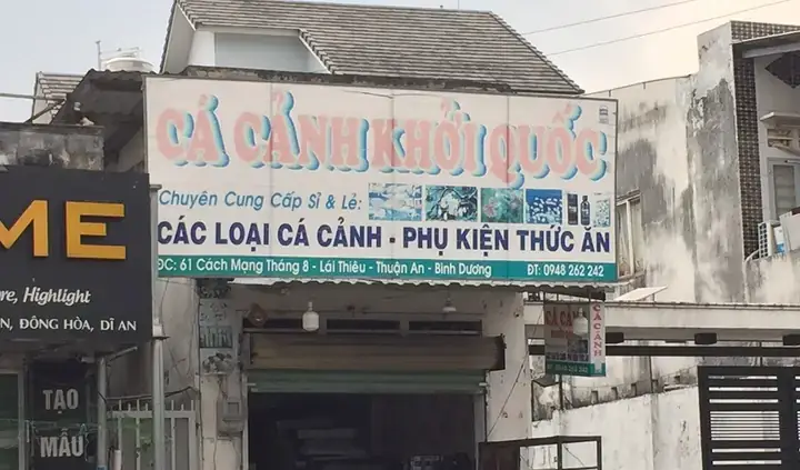 Top Địa Điểm Bán Cá Cảnh Uy Tín Tại Bình Dương Cập Nhật 2026 Top Địa Điểm Bán Cá Cảnh Uy Tín Tại Bình Dương Cập Nhật 2026