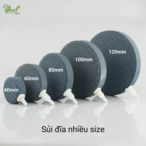 Đĩa Sủi Oxy Bể Cá Siêu Mịn: Chọn Loại Nào Tốt Nhất Cho Hồ Thủy Sinh? Đĩa Sủi Oxy Bể Cá Siêu Mịn: Chọn Loại Nào Tốt Nhất Cho Hồ Thủy Sinh?