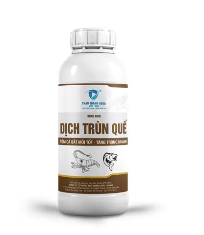 Dịch Trùn Quế: Ứng Dụng, Tác Dụng & Cách Sử Dụng Cho Cá Nuôi & Câu Cá