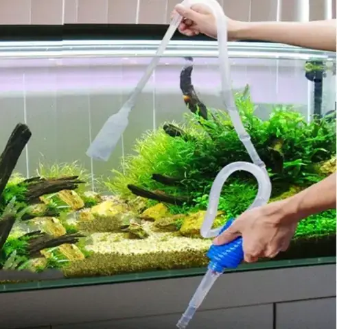 Dịch Vụ Vệ Sinh Bể Cá Tại Nhà: Quy Trình & Lợi Ích Chuyên Nghiệp
