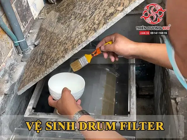 Dịch Vụ Vệ Sinh Hồ Cá Tại Nhà: Hướng Dẫn Chi Tiết & Báo Giá Uy Tín