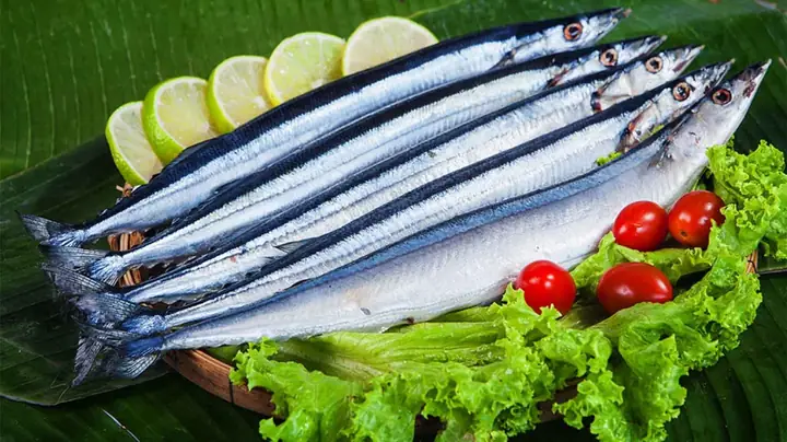 Dinh Dưỡng Cá Thu Nhật: Hàm Lượng, Lợi Ích Và Lưu Ý Khi Sử Dụng