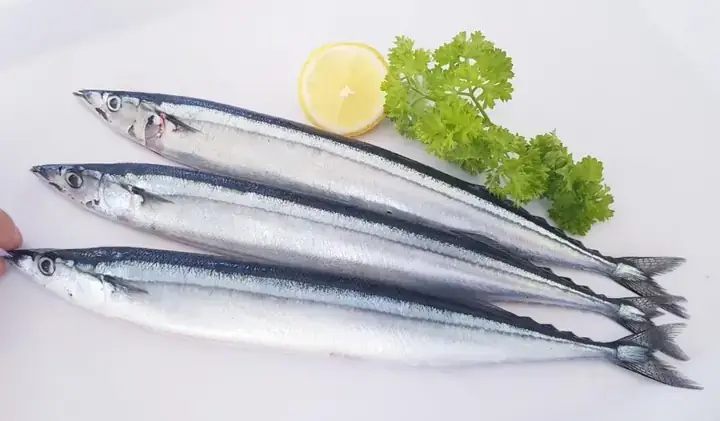 Dinh Dưỡng Cá Thu Nhật: Hàm Lượng, Lợi Ích Và Lưu Ý Khi Sử Dụng