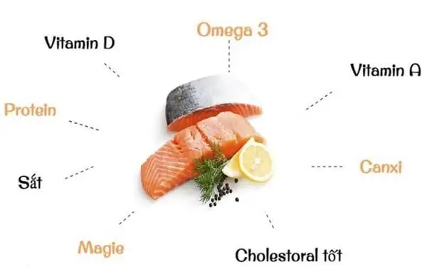 Dinh Dưỡng Cá Hồi: Thành Phần, Lợi Ích Vượt Trội Và Lưu Ý Quan Trọng Dinh Dưỡng Cá Hồi: Thành Phần, Lợi Ích Vượt Trội Và Lưu Ý Quan Trọng