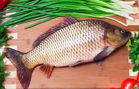 Dinh Dưỡng Trong Cá Chép: Giá Trị, Lợi Ích Và Cách Sử Dụng Hiệu Quả