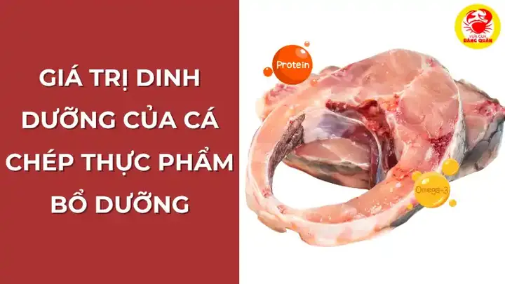 Dinh Dưỡng Trong Cá Chép: Giá Trị, Lợi Ích Và Cách Sử Dụng Hiệu Quả